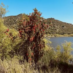 Lake Wohlford