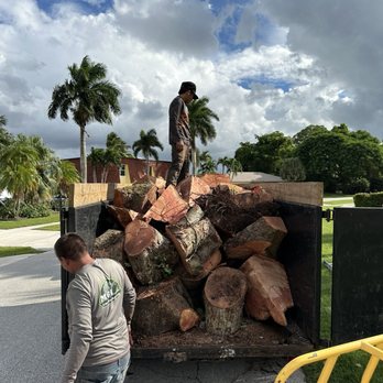 MGH Landscaping - Tree Services Near Me - Lake Worth, Florida MGH Landscaping - Tree Services Near Me - Lake Worth, Florida