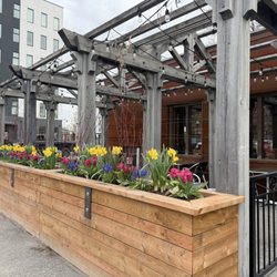 Ashburnham Ale House - Outside patio