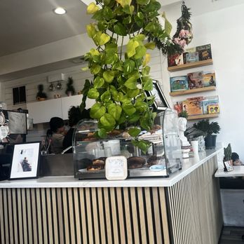 The Stockyard Coffeehouse - Coffee & Tea Near Me - Chicago, Illinois