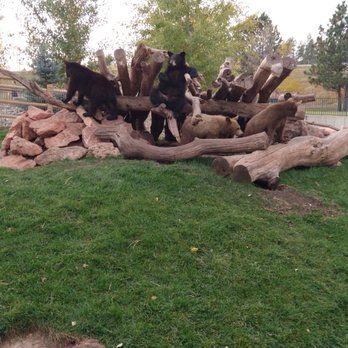 Bear Country USA - Zoos Near Me - Rapid City, South Dakota