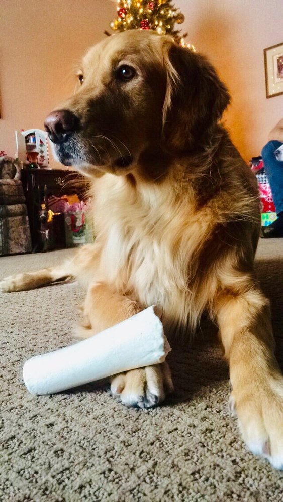 WEST WINDS VETERINARY SERVICES Updated September 2024 10 Reviews