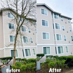 New View Tree and Landscaping - Tree removal.