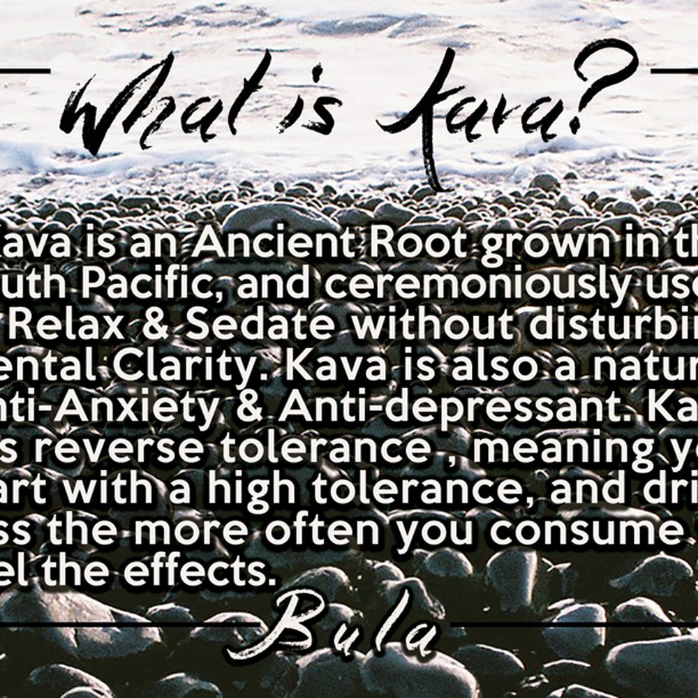 Island Root Stuart Kava Bar - Lounges Near Me - Stuart, Florida Island Root Stuart Kava Bar - Lounges Near Me - Stuart, Florida