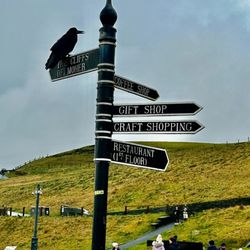 Cliffs of Moher