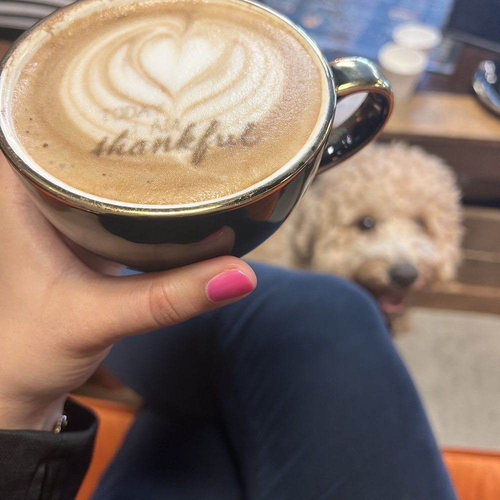 Baldwin Perk - Vanilla oat latte and my puppy! - Cafes Near Me - Orlando, Florida