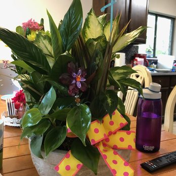 Heartfield Florist - Florists Near Me - Huntsville, Texas Heartfield Florist - Florists Near Me - Huntsville, Texas