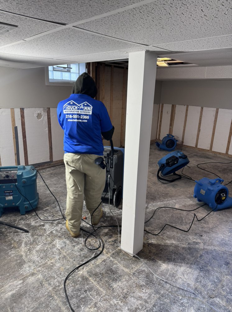 Slide of A Touch of Anne Restoration & Cleaning