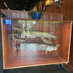 Muskellounge And Sporting Club - Inside