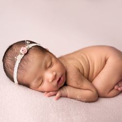 Lillybelle Rose Photography
