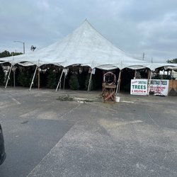 Josario's Christmas Trees