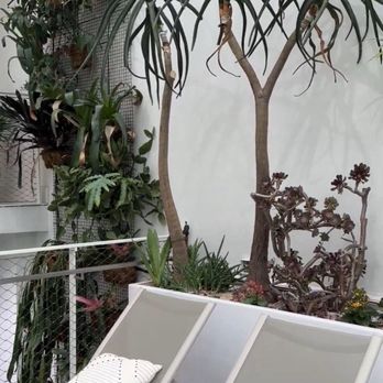 Cascada - Lounge area and wonderful plants - Hotels Near Me - Portland, Oregon Cascada - Lounge area and wonderful plants - Hotels Near Me - Portland, Oregon