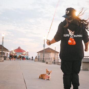 Ruff & Rumble - Dog Training - Pet Training Near Me