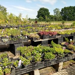 Gartencenter