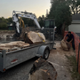 Photo of Timber Creek Tree Service