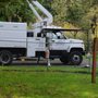 Photo of Best Tree Service NW