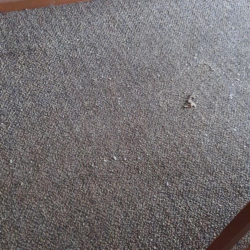Bear Property Management - How the hall looked after Kathy. - Property Management Near Me - Kenosha, Wisconsin