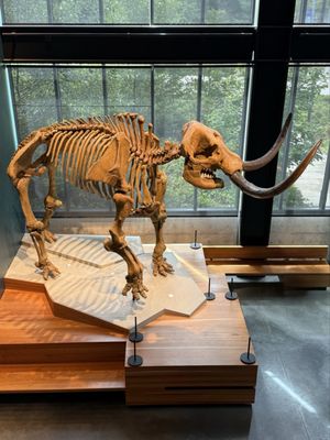 Burke Museum of Natural History and Culture by null Burke Museum of Natural History and Culture by null