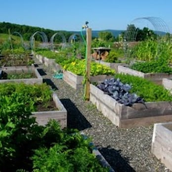 3DAgronomics - a garden with raised beds of vegetables - Gardeners Near Me - Corona, California