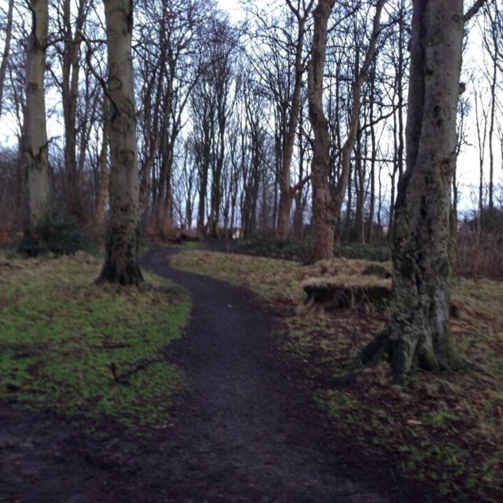 Cairnhill Woods - Path to work on a nice winter morning! - Parks Near Me - Bearsden, EDU