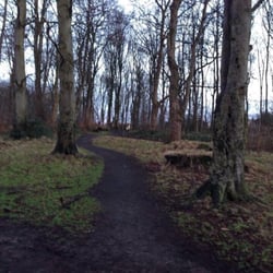 Cairnhill Woods - Path to work on a nice winter morning!