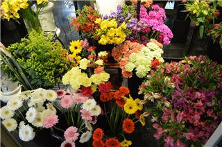 Vernon Flower Shop by null