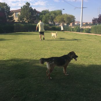 CJ Dog Park - Dog Parks Near Me - Las Vegas, Nevada CJ Dog Park - Dog Parks Near Me - Las Vegas, Nevada
