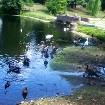 Weed Park - Geese - Parks Near Me Weed Park - Geese - Parks Near Me