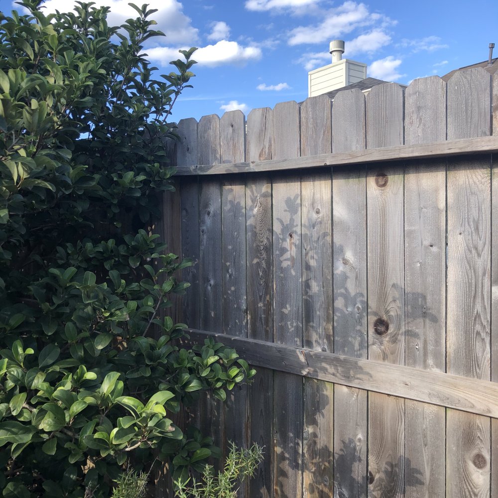 Texas Fence - 3 year old fence - still looking like new! (no wood treatment, withstands all kinds of weather! beautiful!) - Fences & Gates Near Me - Houston, Texas