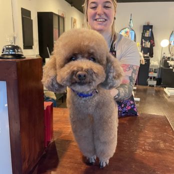 The Pawber Shop - Thank you for making me handsome again! - Pet Groomers Near Me - San Francisco, California The Pawber Shop - Thank you for making me handsome again! - Pet Groomers Near Me - San Francisco, California