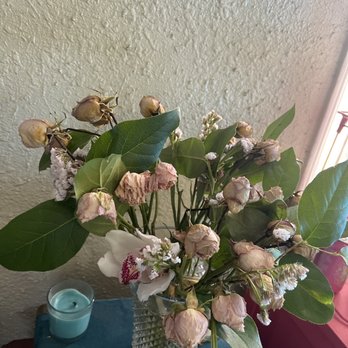 Scent Flowers - Rotting anniversary flowers. 10/10 don't recommend - Florists Near Me - Los Angeles, California Scent Flowers - Rotting anniversary flowers. 10/10 don't recommend - Florists Near Me - Los Angeles, California
