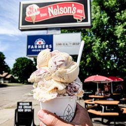 Nelson's Ice Cream - Blueberry cheesecake + pirates booty (kid's size)