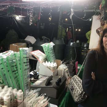Richard Tajiri's Christmas Hawaii - They sell all the extras needed for your tree! - Christmas Trees Near Me - Honolulu, Hawaii Richard Tajiri's Christmas Hawaii - They sell all the extras needed for your tree! - Christmas Trees Near Me - Honolulu, Hawaii
