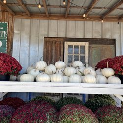 Amish Country Market At The Feed Mill - Fall decor mums amd white pumpkins