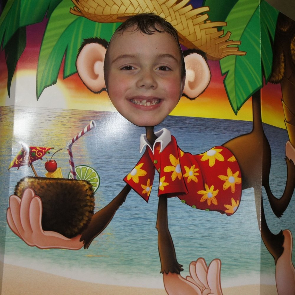 Party Jungle - Party & Event Planning Near Me - Staten Island, New York Party Jungle - Party & Event Planning Near Me - Staten Island, New York
