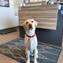 Photo of Stoney Trail Veterinary Clinic