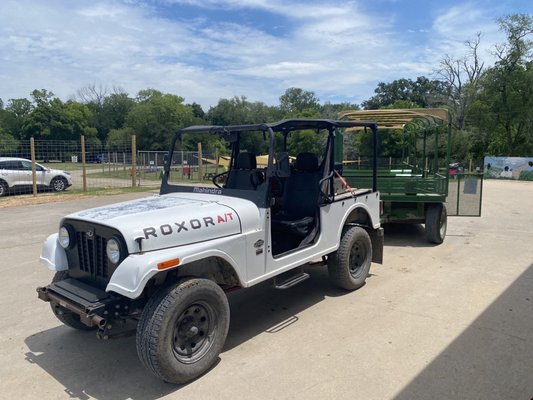 Bayou Wildlife Zoo by null