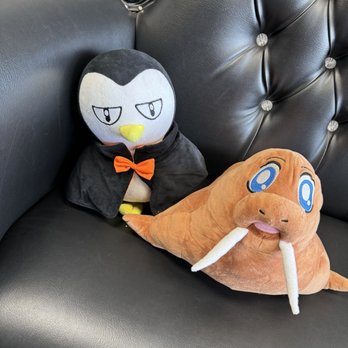 Vampire Penguin - Mascots of the business - Desserts Near Me - Seminole, Florida Vampire Penguin - Mascots of the business - Desserts Near Me - Seminole, Florida