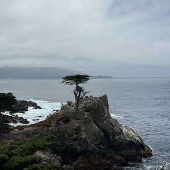 The Lone Cypress - Landmarks & Historical Buildings Near Me - Del Monte Forest, California