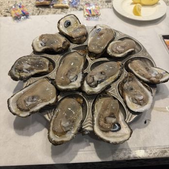 Desire Oyster Bar - Look at these delicious plump oysters - Seafood Near Me - New Orleans, Louisiana Desire Oyster Bar - Look at these delicious plump oysters - Seafood Near Me - New Orleans, Louisiana