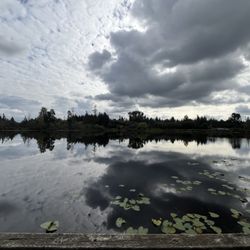 Lake Hills Greenbelt - Larsen Lake