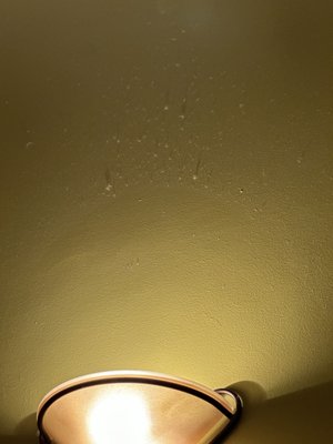 Calabria Ristorante Italiano by null