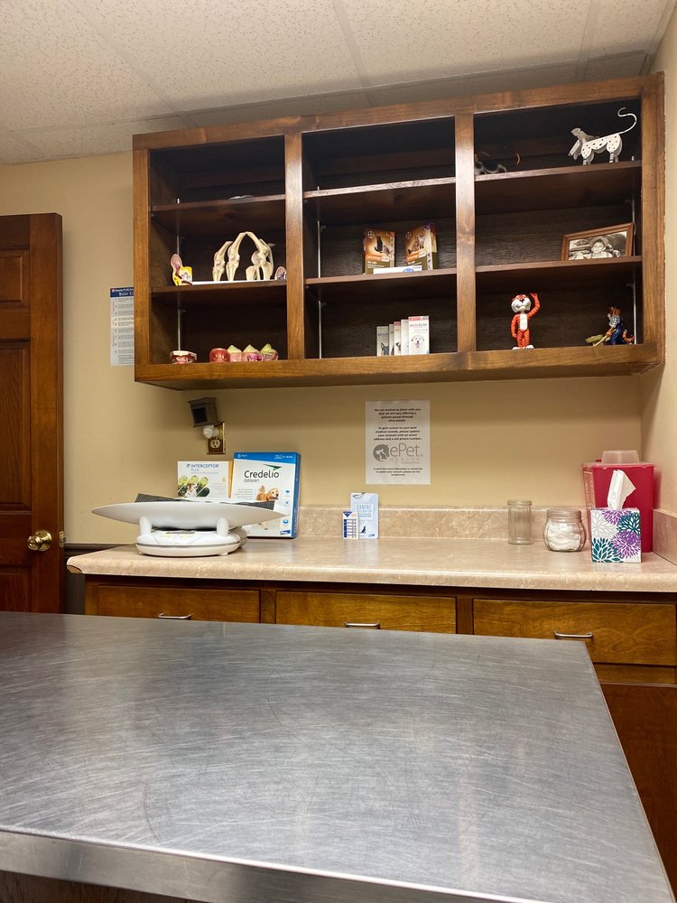 WESTWOOD ANIMAL HOSPITAL Updated October 2024 11 Photos 2108