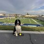 Photo of UC Davis Health Stadium
