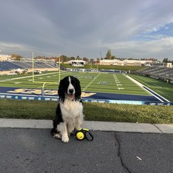 UC Davis Health Stadium