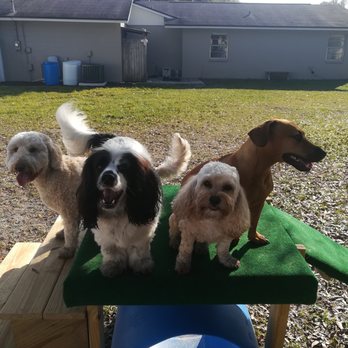 WestFetch - Pet Boarding Near Me - Tampa, Florida WestFetch - Pet Boarding Near Me - Tampa, Florida