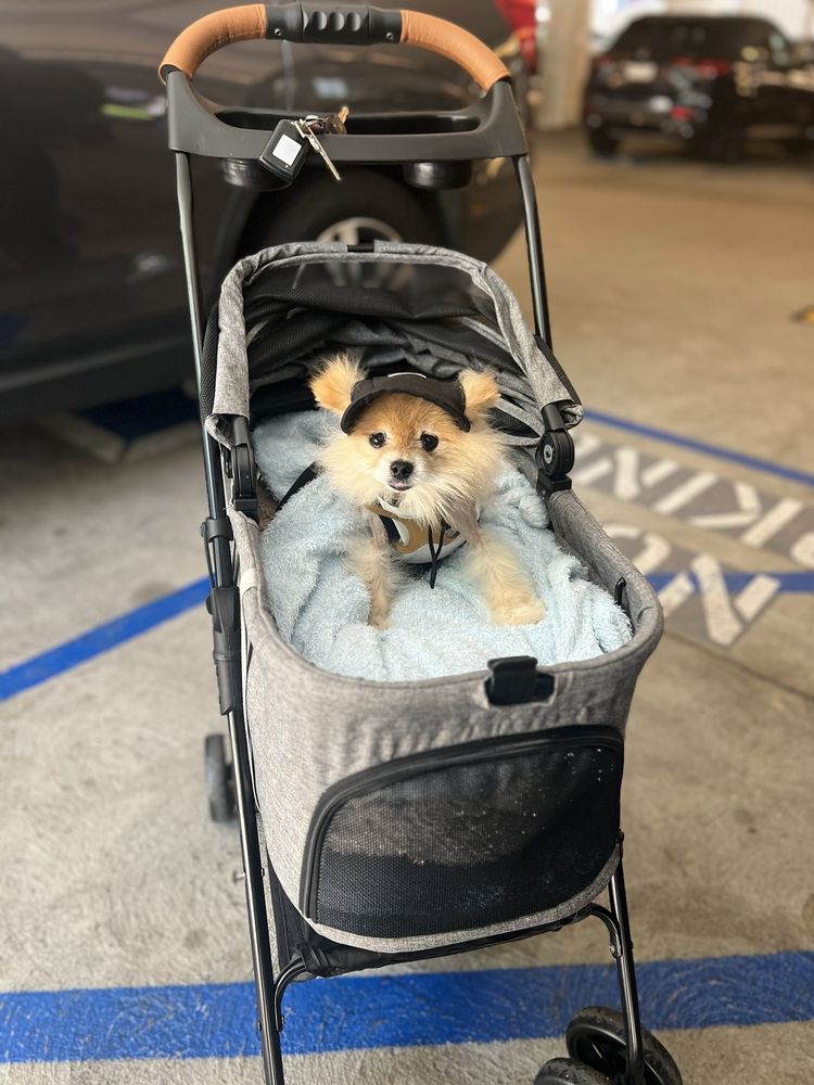 EARTHWISE PET Updated September 2024 5365 Alton Pkwy, Irvine