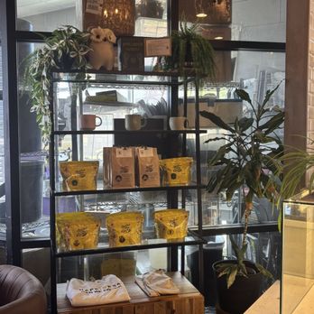 Bad Owl Coffee Roasters - Merch - Coffee Roasteries Near Me - Las Vegas, Nevada Bad Owl Coffee Roasters - Merch - Coffee Roasteries Near Me - Las Vegas, Nevada