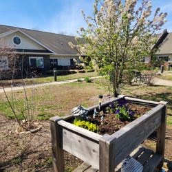 Royal Park of Matthews Rehabilitation & Health Center - Outside garden