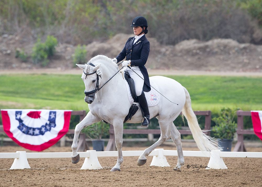 Always a Good Ride - The Event Simulator - equestrian in Mill Spring, NC